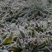 Il Ritrovo, una mattina d'inverno