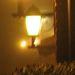 Il Ritrovo in una notte di nebbia...